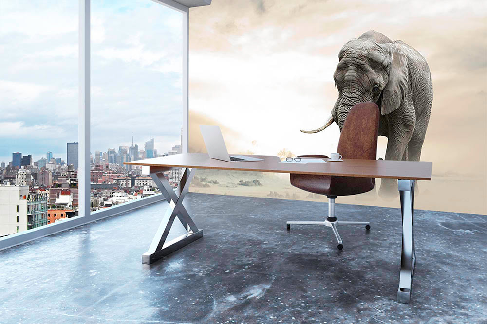 African elephant male walking alone in desert at sunset Wall Mural Wallpaper - Canvas Art Rocks - 3