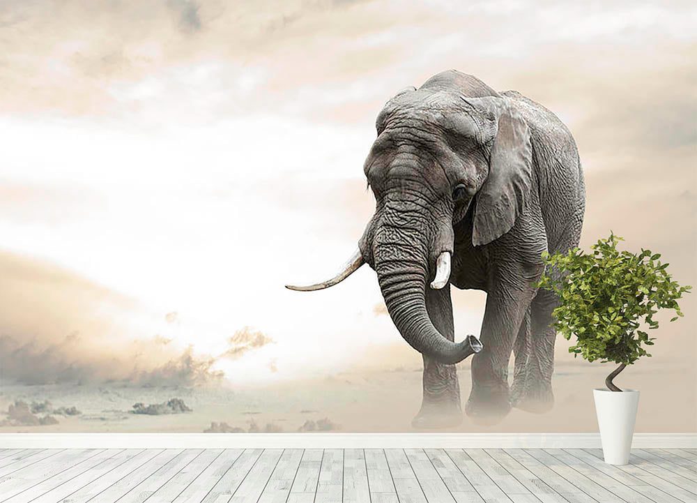 African elephant male walking alone in desert at sunset Wall Mural Wallpaper - Canvas Art Rocks - 4