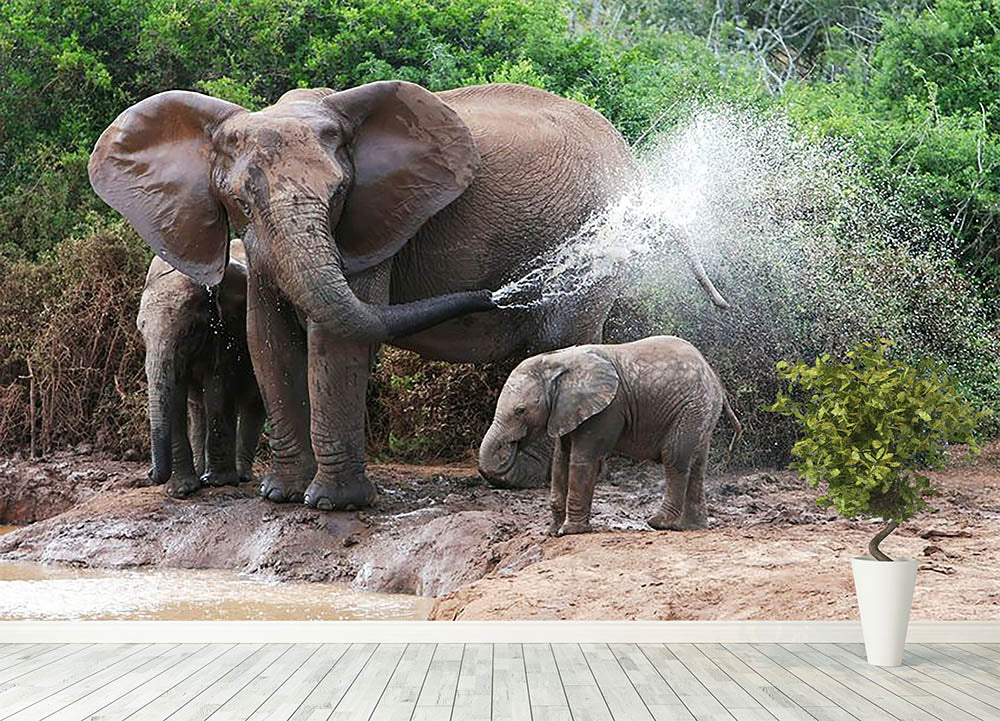 African elephant mother and baby cooling off Wall Mural Wallpaper - Canvas Art Rocks - 4