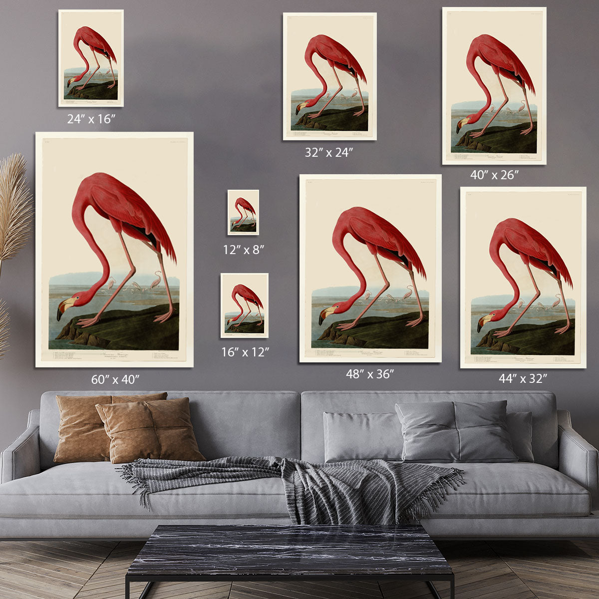 American Flamingo 2 by Audubon Canvas Print or Poster