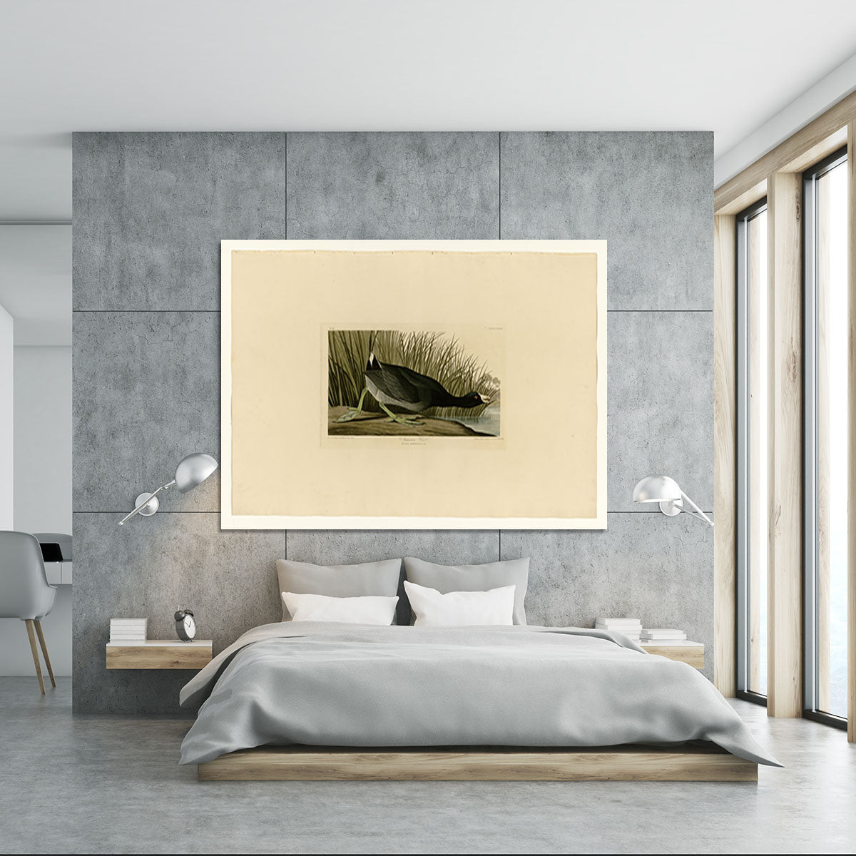 American Coot by Audubon Canvas Print or Poster - Canvas Art Rocks - 5