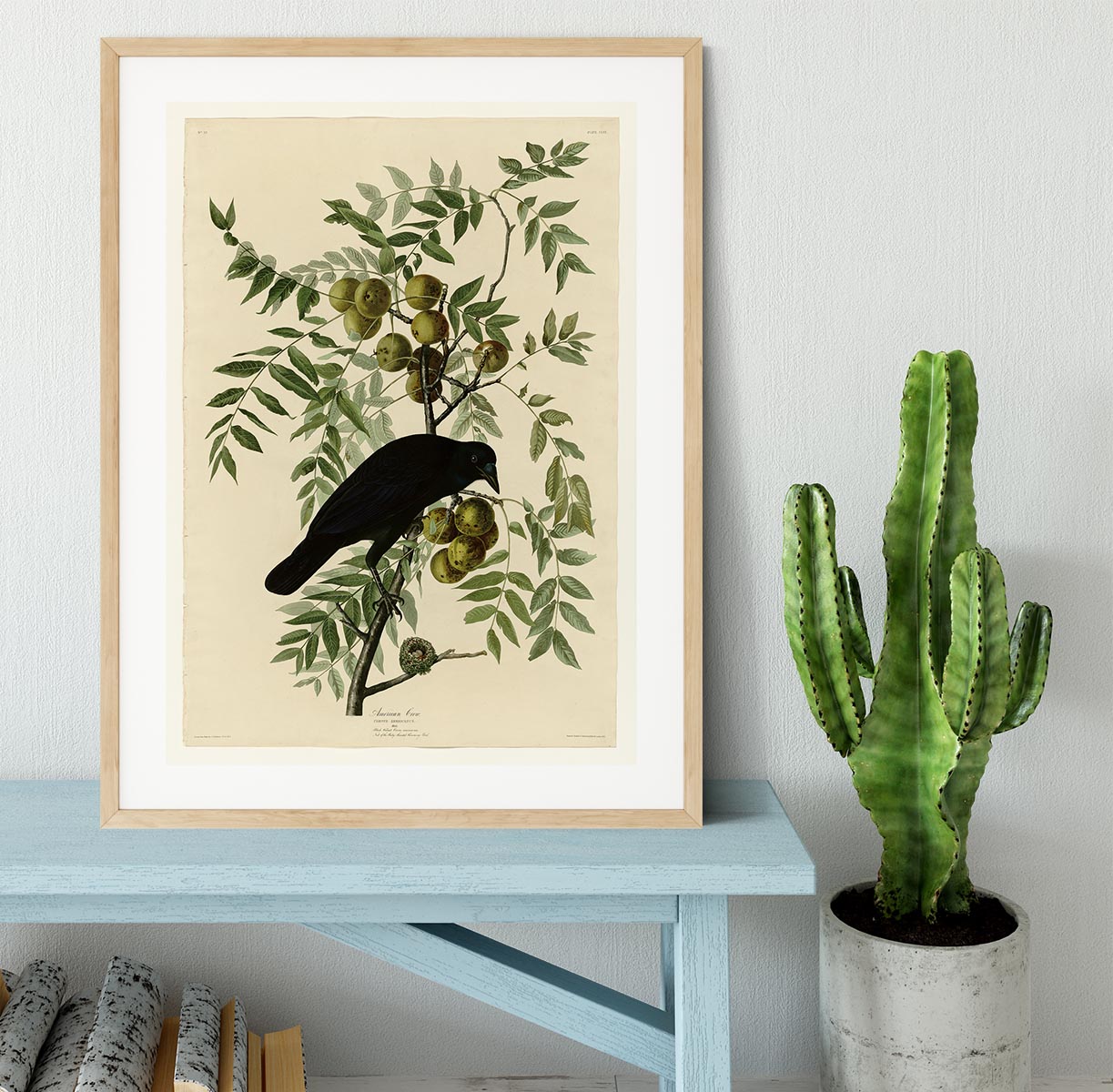 American Crow by Audubon Framed Print - Canvas Art Rocks - 3