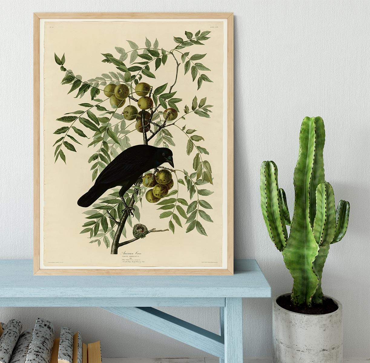 American Crow by Audubon Framed Print - Canvas Art Rocks - 4