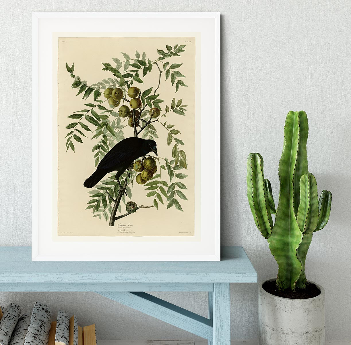 American Crow by Audubon Framed Print - Canvas Art Rocks - 5