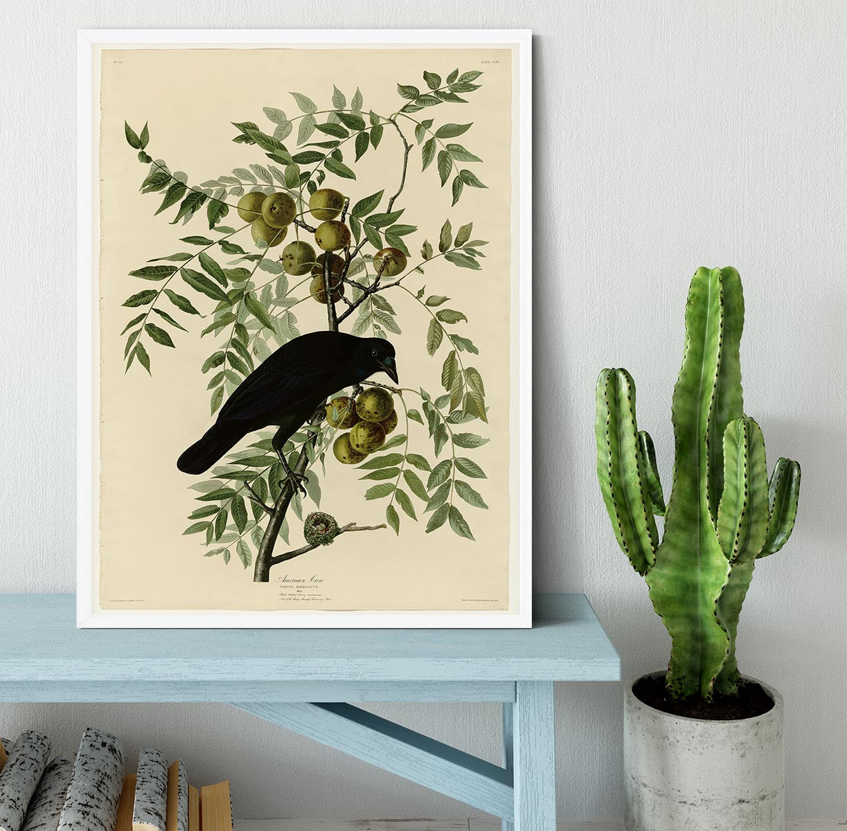 American Crow by Audubon Framed Print - Canvas Art Rocks -6
