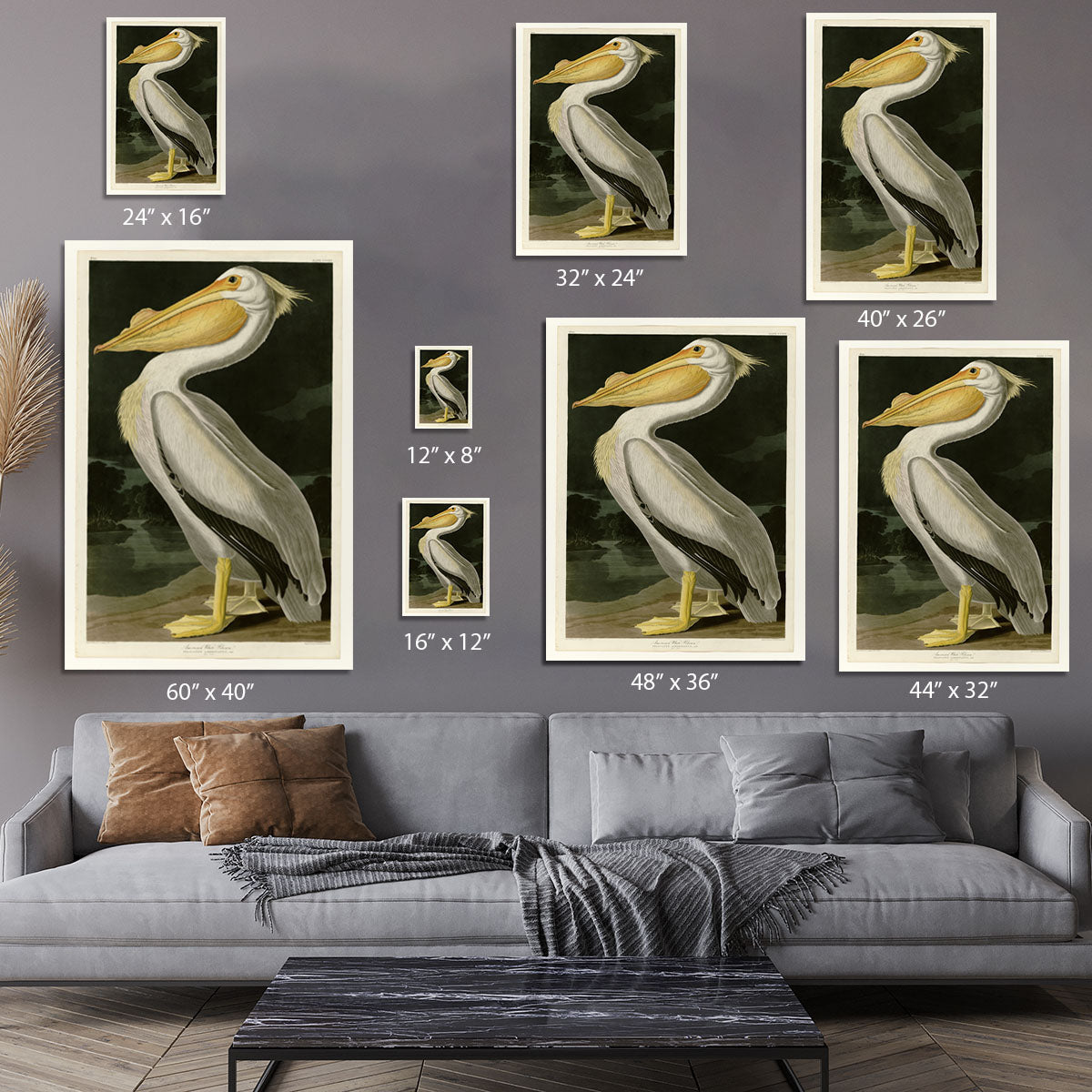 American White Pelican by Audubon Canvas Print or Poster - Canvas Art Rocks - 7