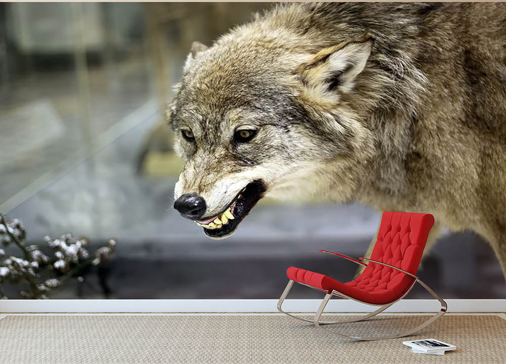 Angry grey wolf in winter forest Wall Mural Wallpaper - Canvas Art Rocks - 2