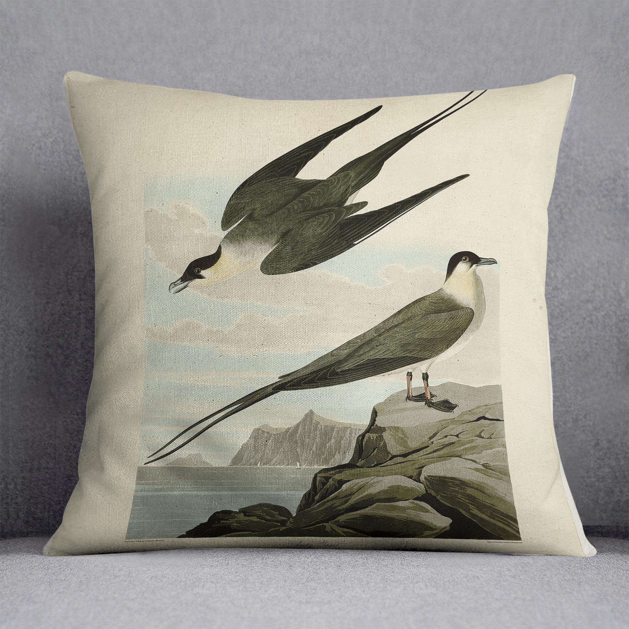 Arctic Yager by Audubon Cushion