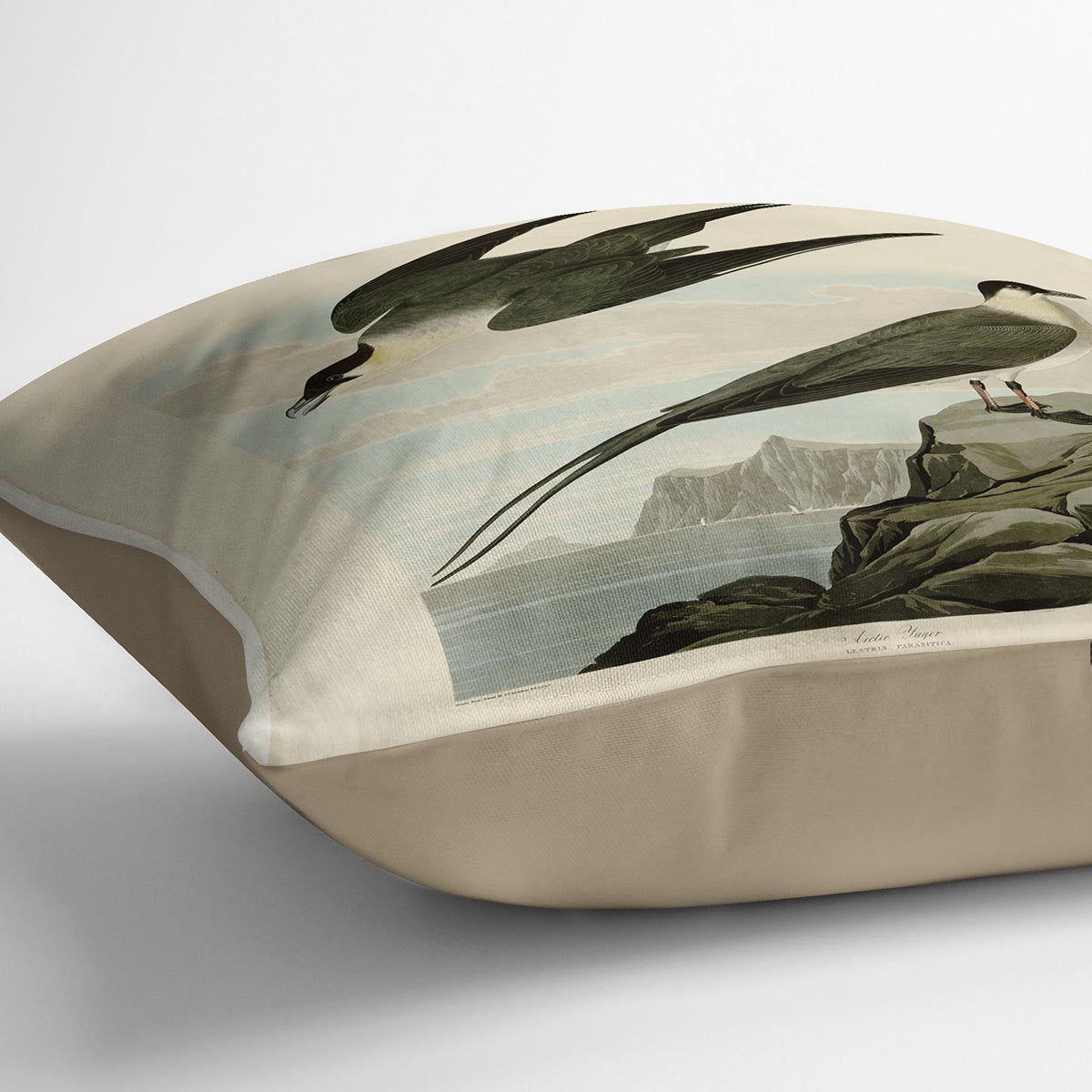 Arctic Yager by Audubon Cushion