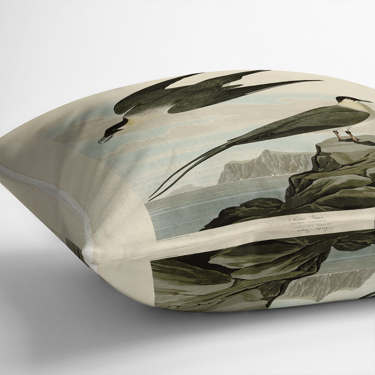 Arctic Yager by Audubon Cushion