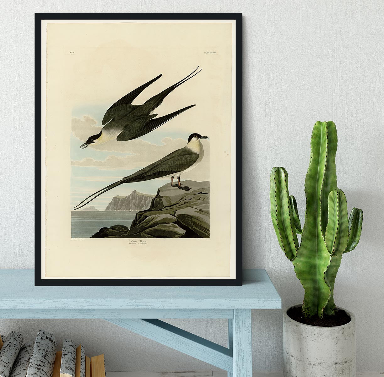 Arctic Yager by Audubon Framed Print - Canvas Art Rocks - 2