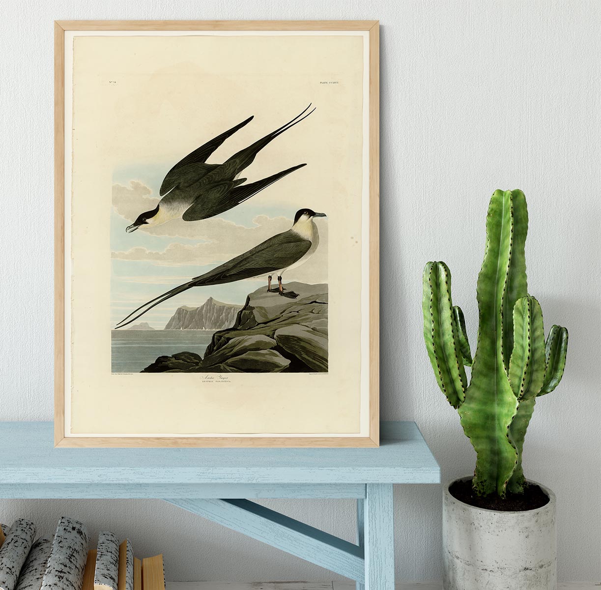 Arctic Yager by Audubon Framed Print - Canvas Art Rocks - 4