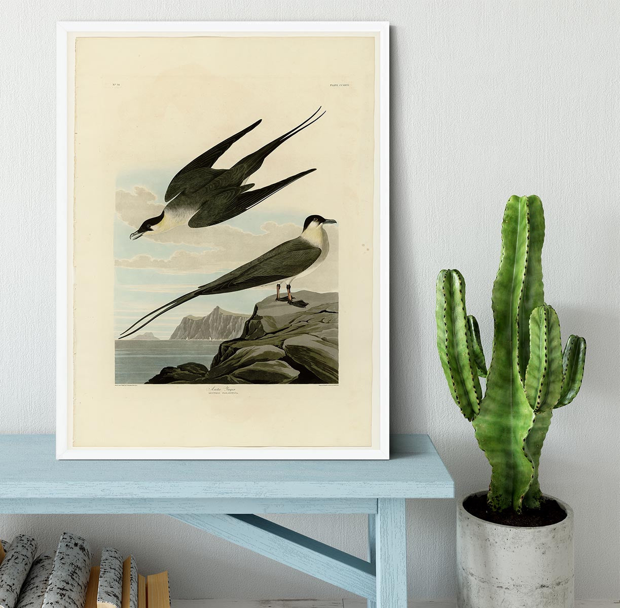 Arctic Yager by Audubon Framed Print - Canvas Art Rocks -6