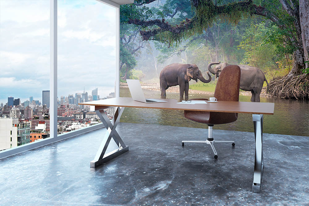 Asian Elephants in a natural river at deep forest Wall Mural Wallpaper - Canvas Art Rocks - 3