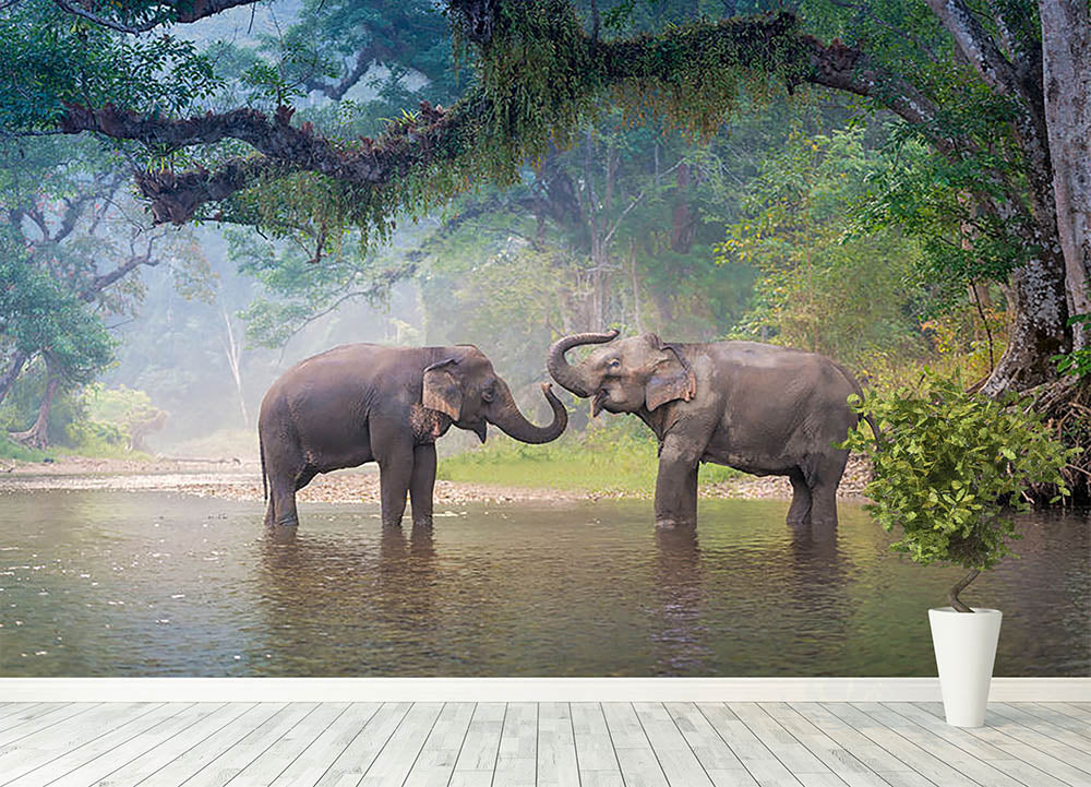Asian Elephants in a natural river at deep forest Wall Mural Wallpaper - Canvas Art Rocks - 4