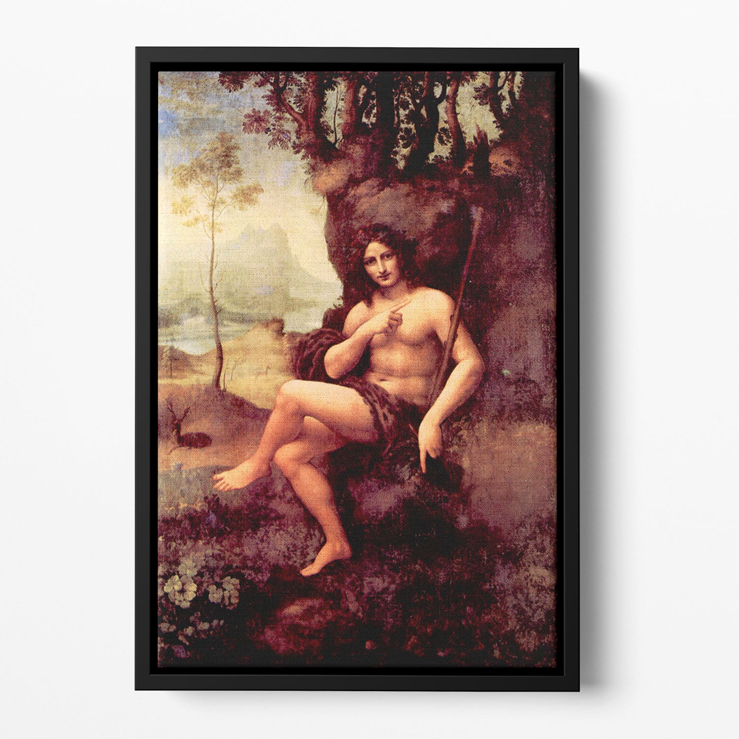Bacchus by Da Vinci Floating Framed Canvas