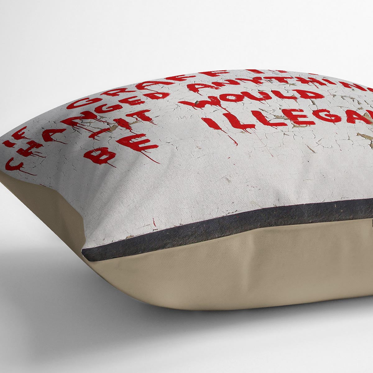 Banksy If Graffiti Changed Anything Cushion