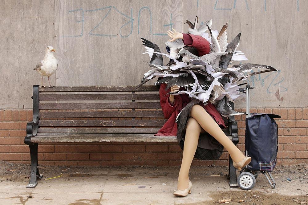 Banksy Seagulls Wall Mural Wallpaper - Canvas Art Rocks - 1