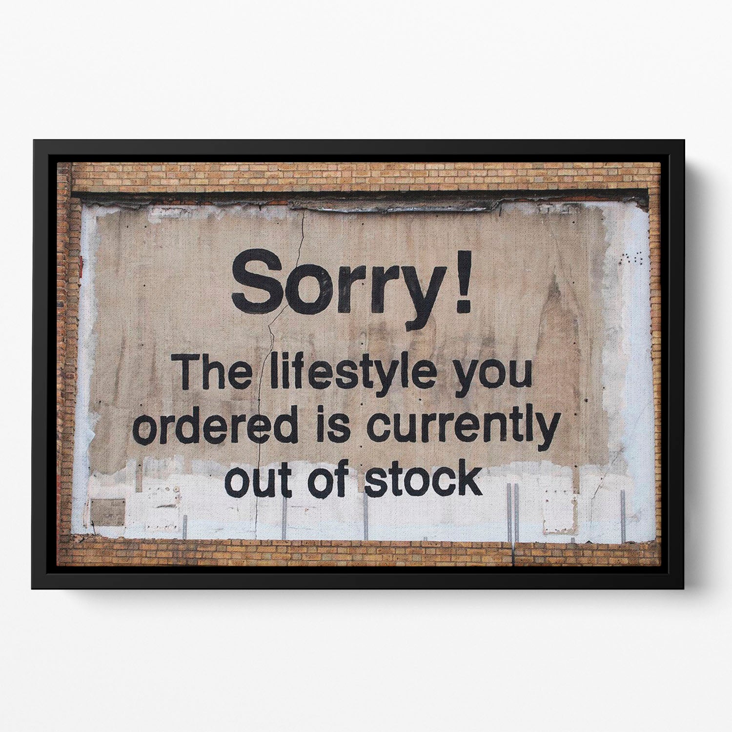 Banksy The Lifestyle You Ordered Floating Framed Canvas