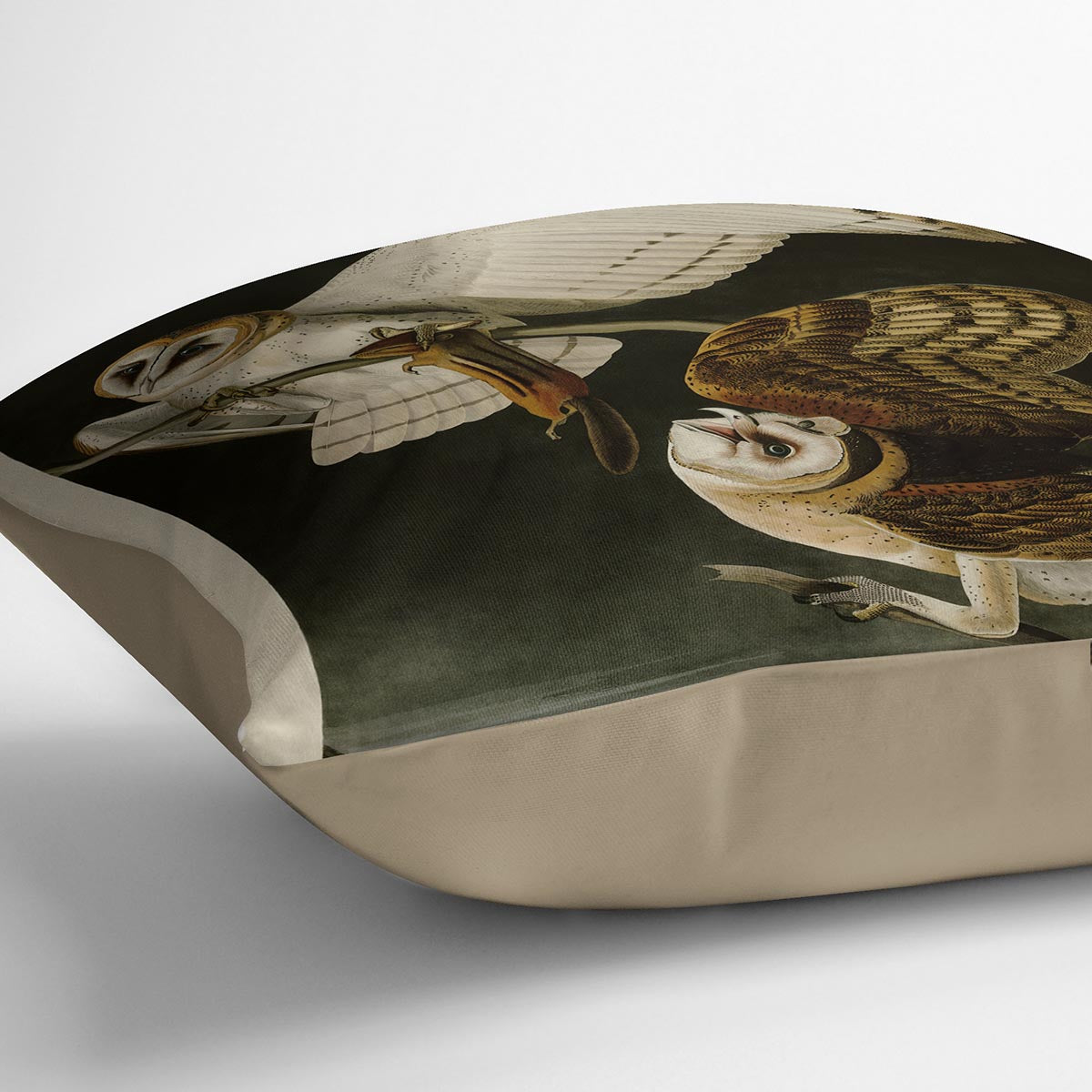 Barn Owl by Audubon Cushion