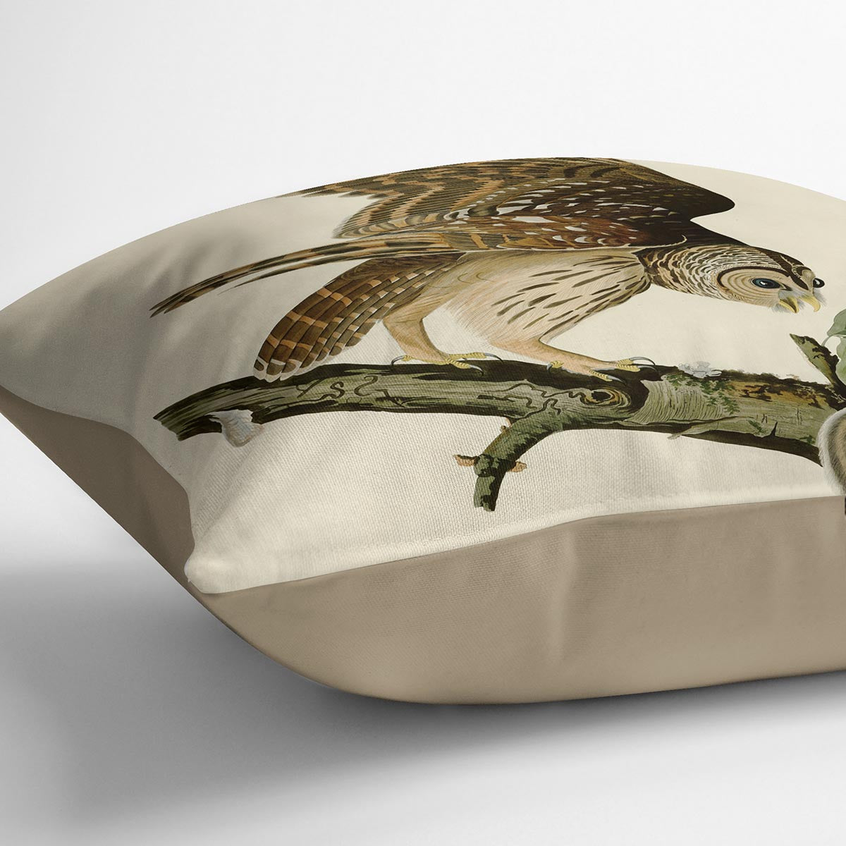 Barred Owl by Audubon Cushion