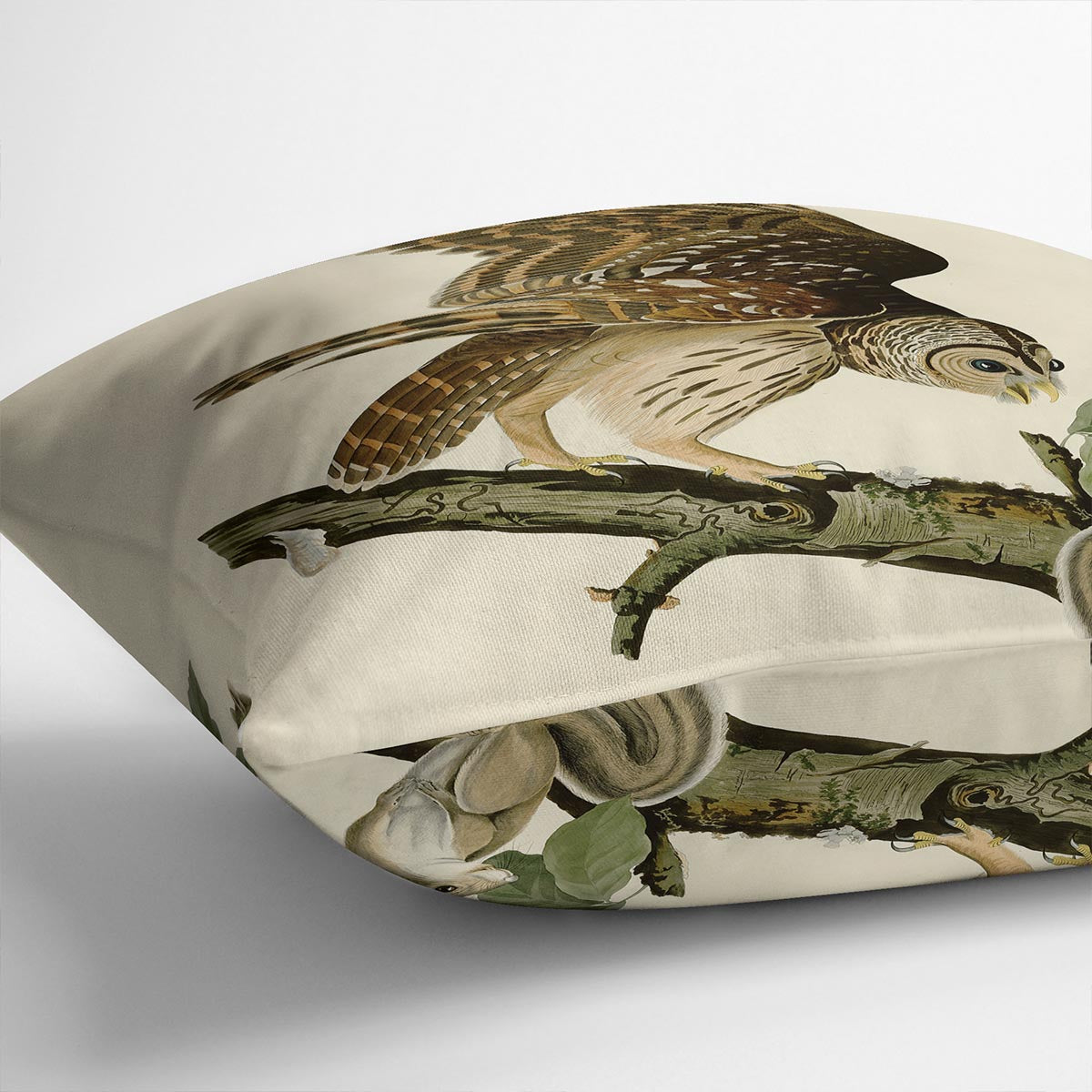 Barred Owl by Audubon Cushion