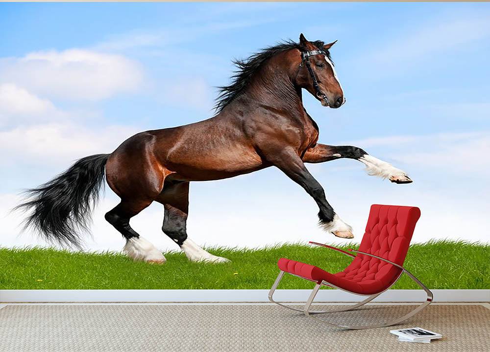 Bay horse running in field Wall Mural Wallpaper - Canvas Art Rocks - 2