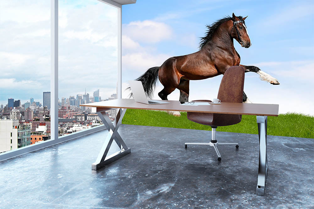 Bay horse running in field Wall Mural Wallpaper - Canvas Art Rocks - 3