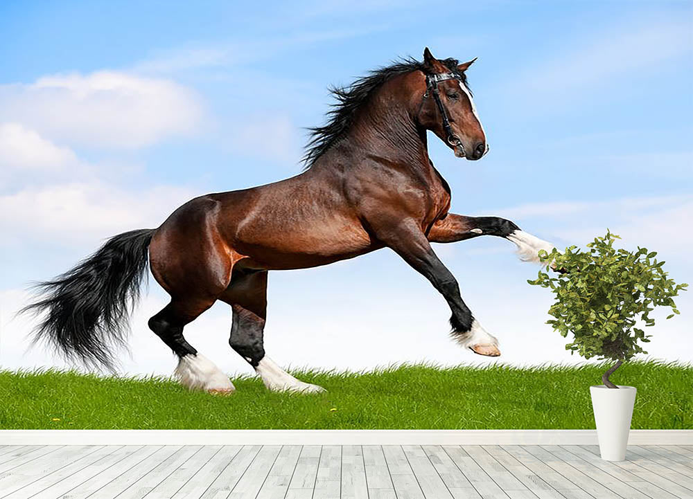 Bay horse running in field Wall Mural Wallpaper - Canvas Art Rocks - 4