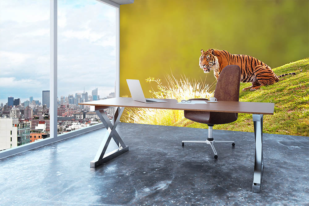 Beautiful Sumatran Tiger Wall Mural Wallpaper - Canvas Art Rocks - 3