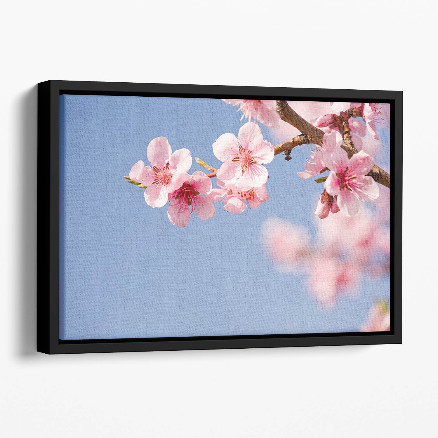 Beautiful colorful fresh spring flowers Floating Framed Canvas