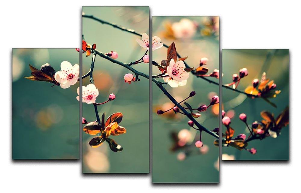 Beautiful flowering Japanese cherry 4 Split Panel Canvas - Canvas Art Rocks - 1