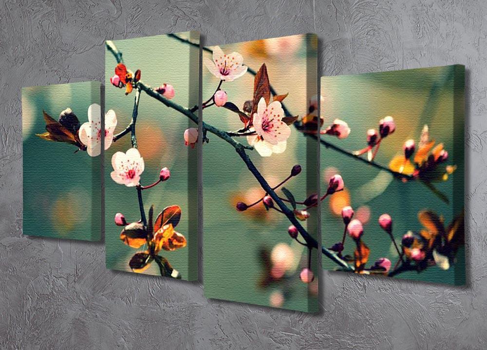 Beautiful flowering Japanese cherry 4 Split Panel Canvas - Canvas Art Rocks - 2