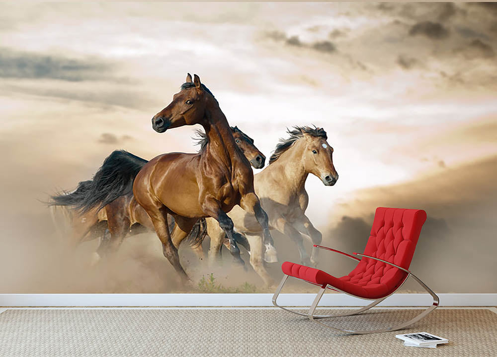 Beautiful horses of different breeds Wall Mural Wallpaper - Canvas Art Rocks - 2