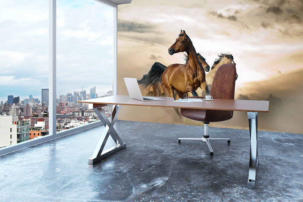 Beautiful horses of different breeds Wall Mural Wallpaper - Canvas Art Rocks - 3