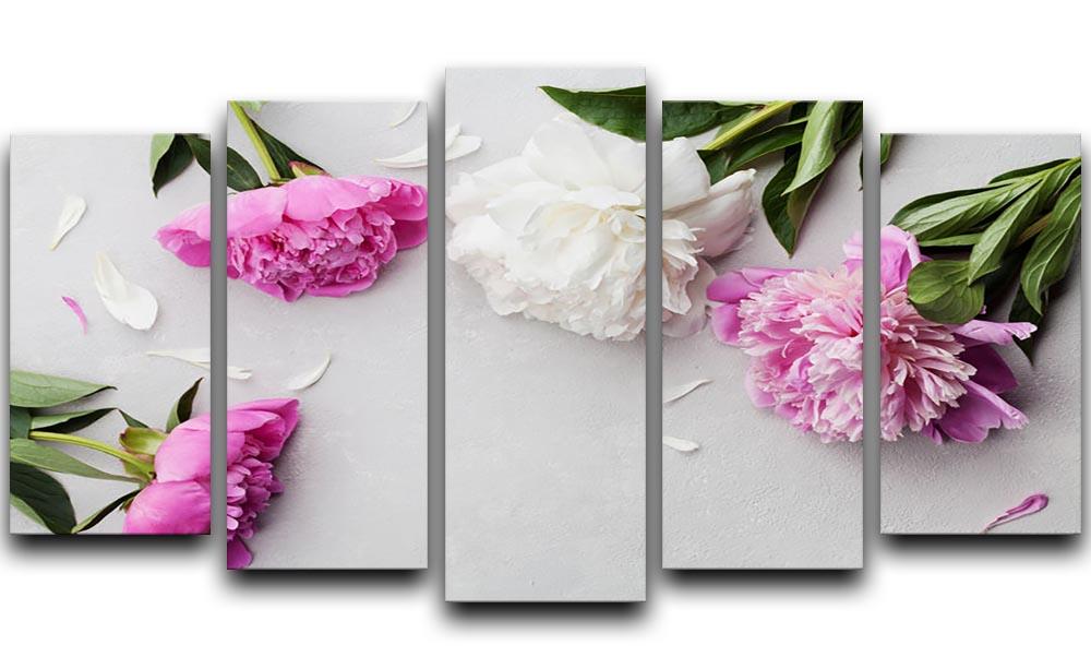 Beautiful pink and white peony flowers 5 Split Panel Canvas - Canvas Art Rocks - 1