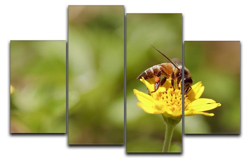 Bee and small sunflower 4 Split Panel Canvas - Canvas Art Rocks - 1