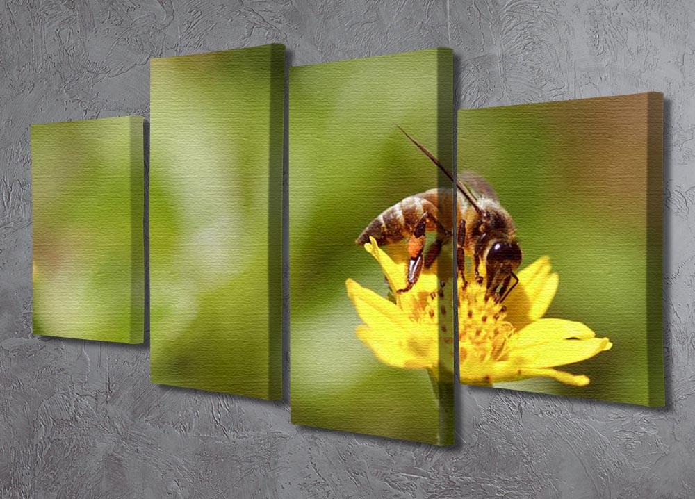 Bee and small sunflower 4 Split Panel Canvas - Canvas Art Rocks - 2