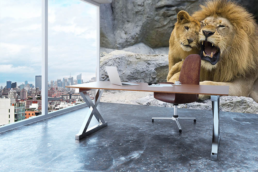 Big lion father and his son playing Wall Mural Wallpaper - Canvas Art Rocks - 3