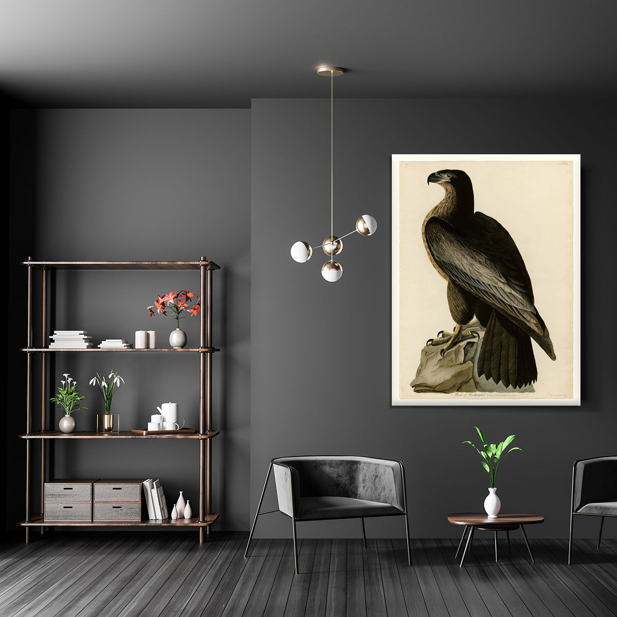 Bird of Washington by Audubon Canvas Print or Poster - Canvas Art Rocks - 5