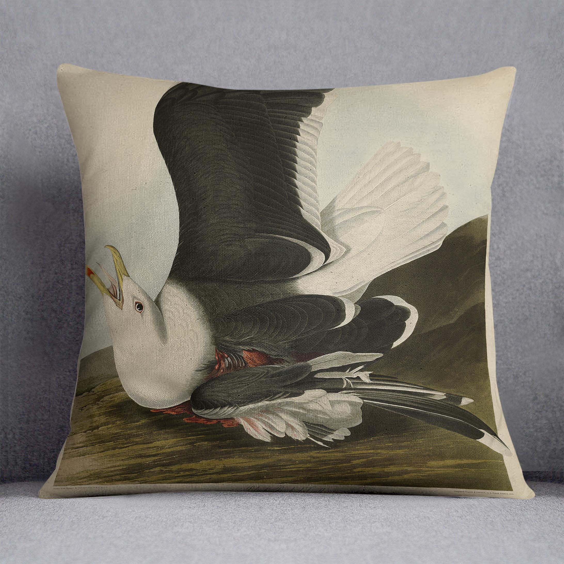 Black Backed Gull by Audubon Cushion