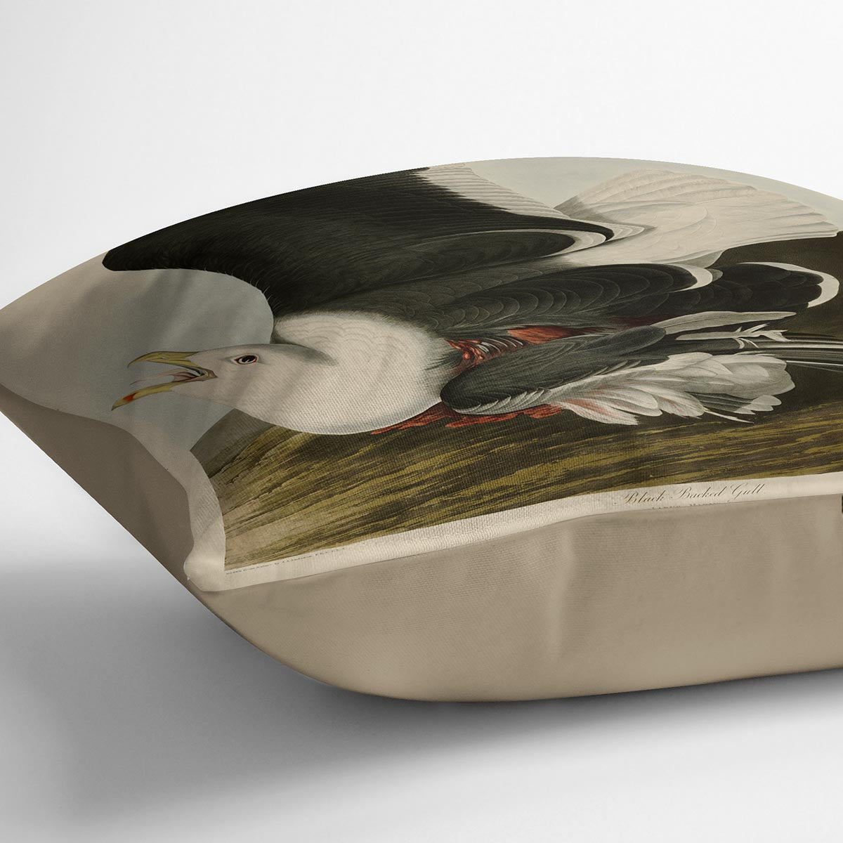Black Backed Gull by Audubon Cushion