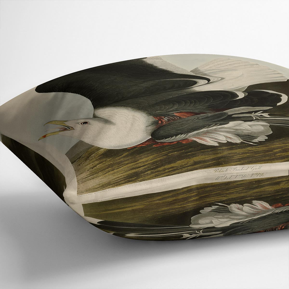 Black Backed Gull by Audubon Cushion