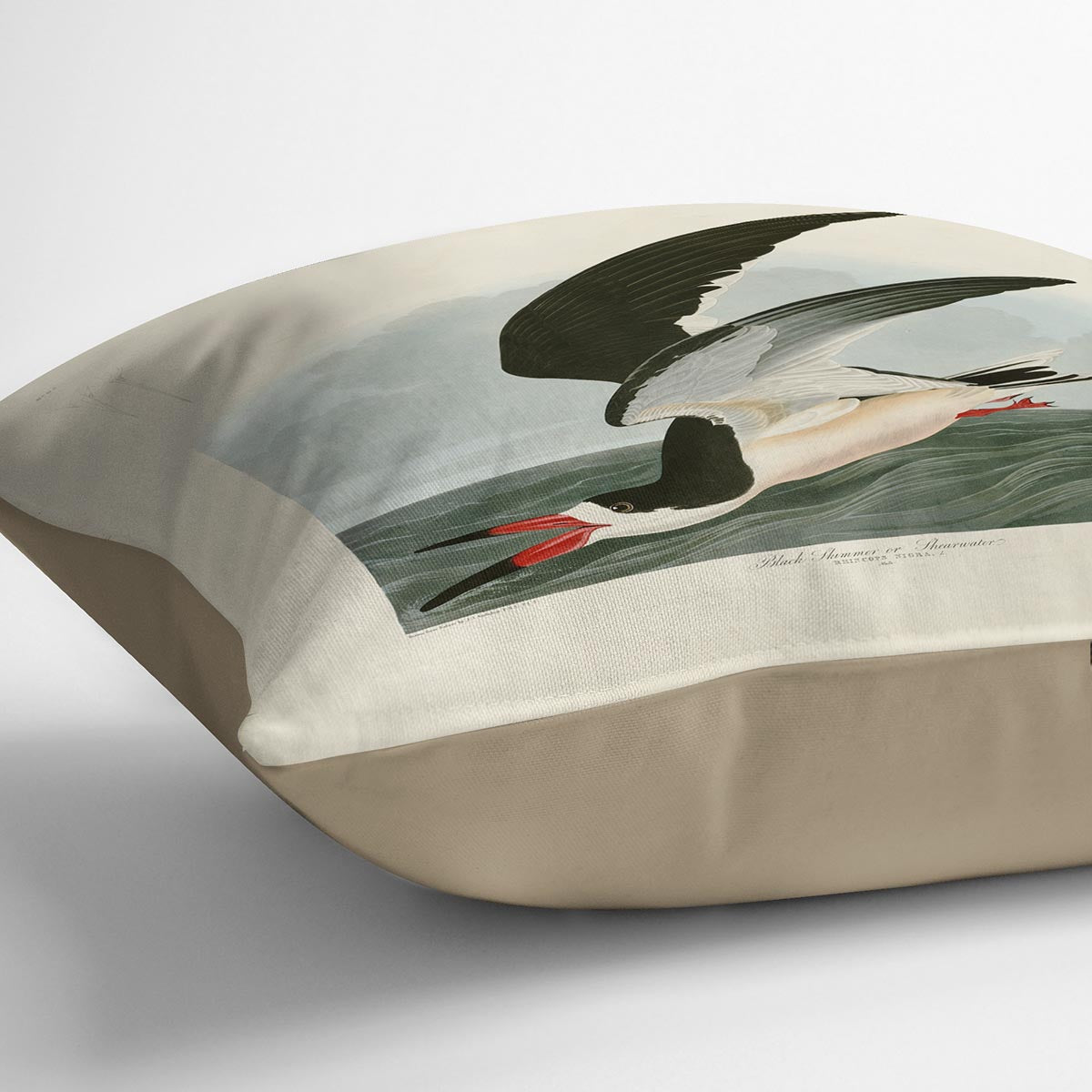 Black Skimmer by Audubon Cushion