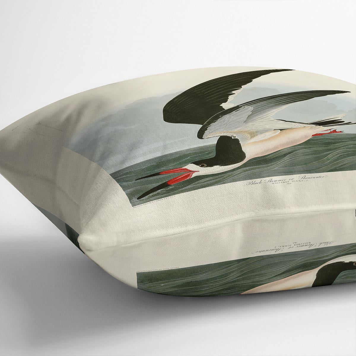 Black Skimmer by Audubon Cushion