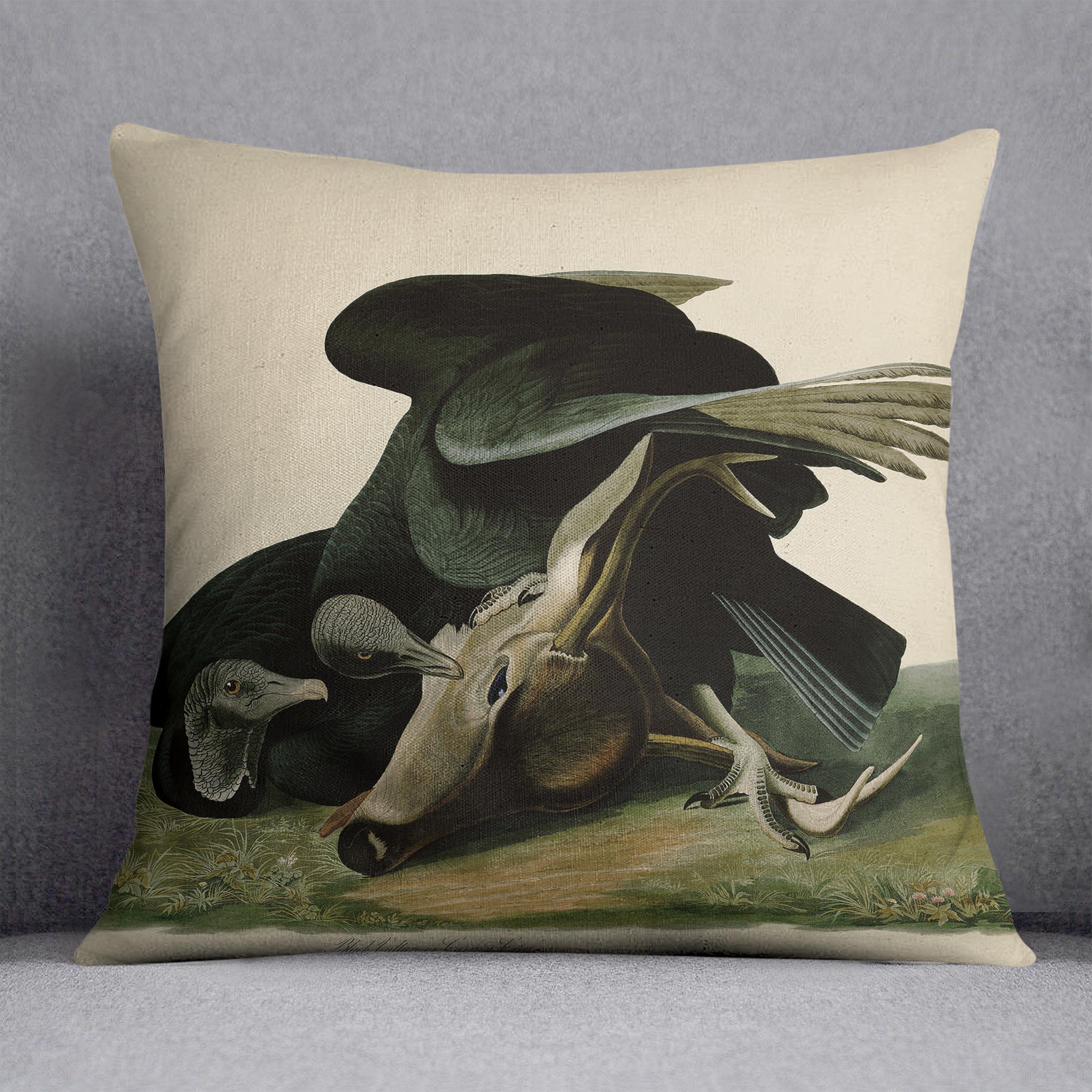 Black Vulture by Audubon Cushion
