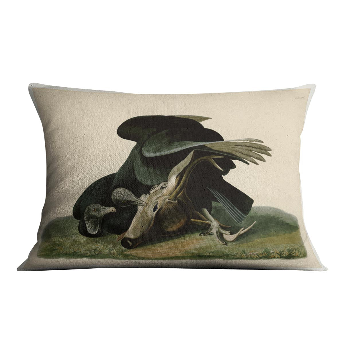 Black Vulture by Audubon Cushion