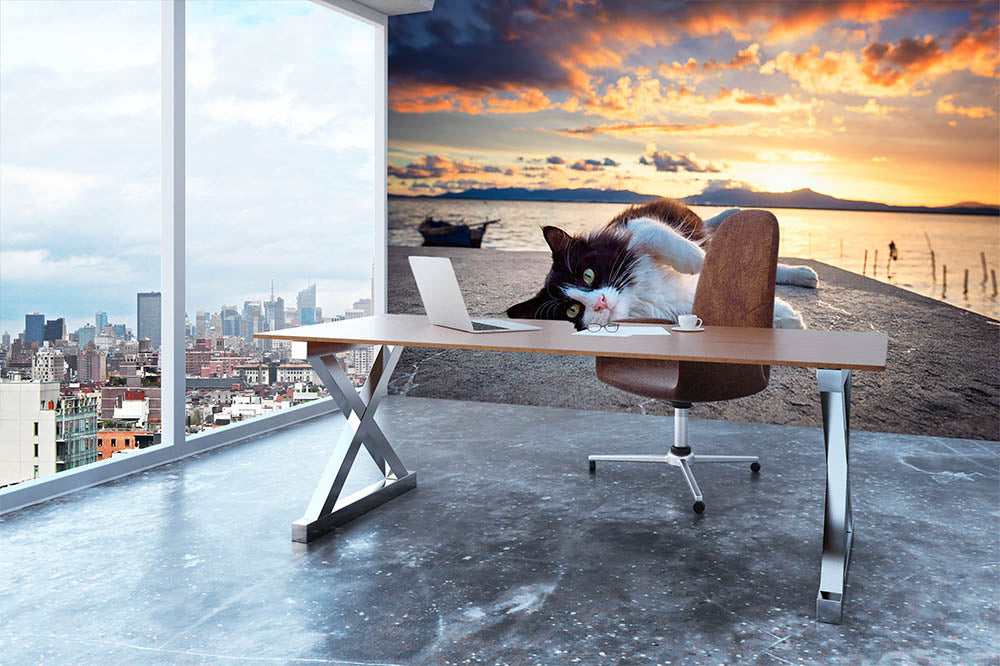 Black and white cat lying under a dramatic sunset on the lagoon Wall Mural Wallpaper - Canvas Art Rocks - 3