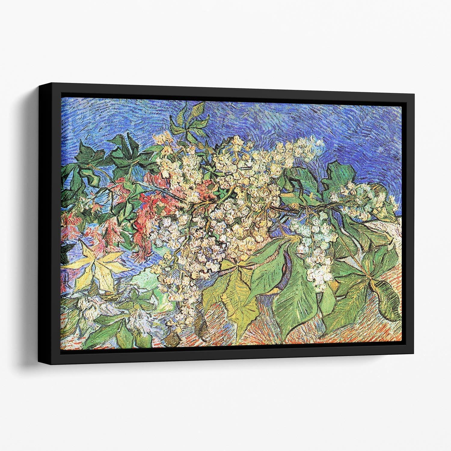 Blossoming Chestnut Branches by Van Gogh Floating Framed Canvas