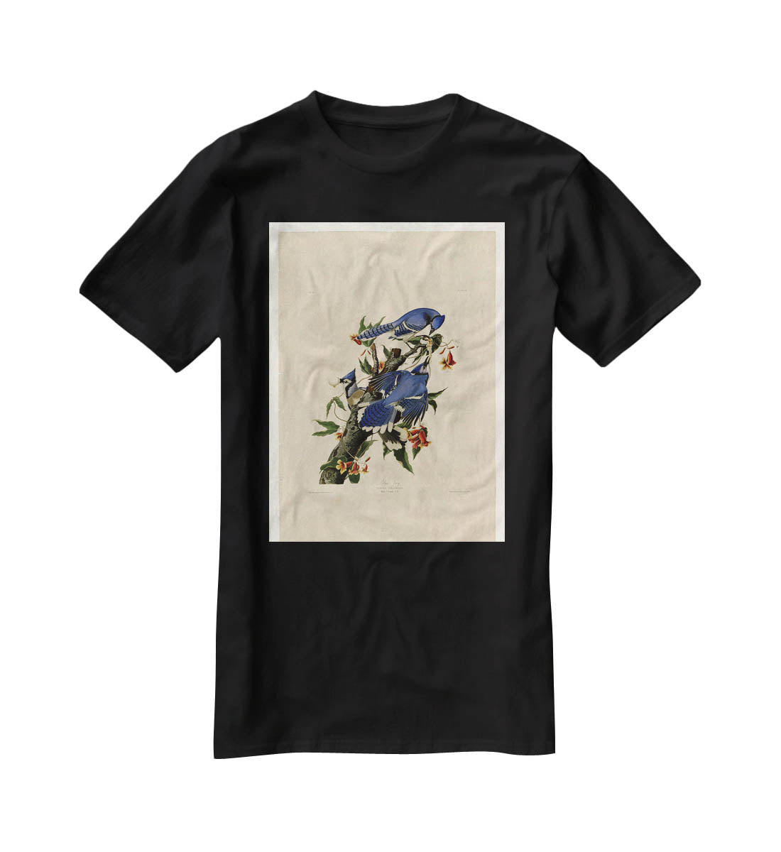 Blue Jay by Audubon T-Shirt - Canvas Art Rocks - 1